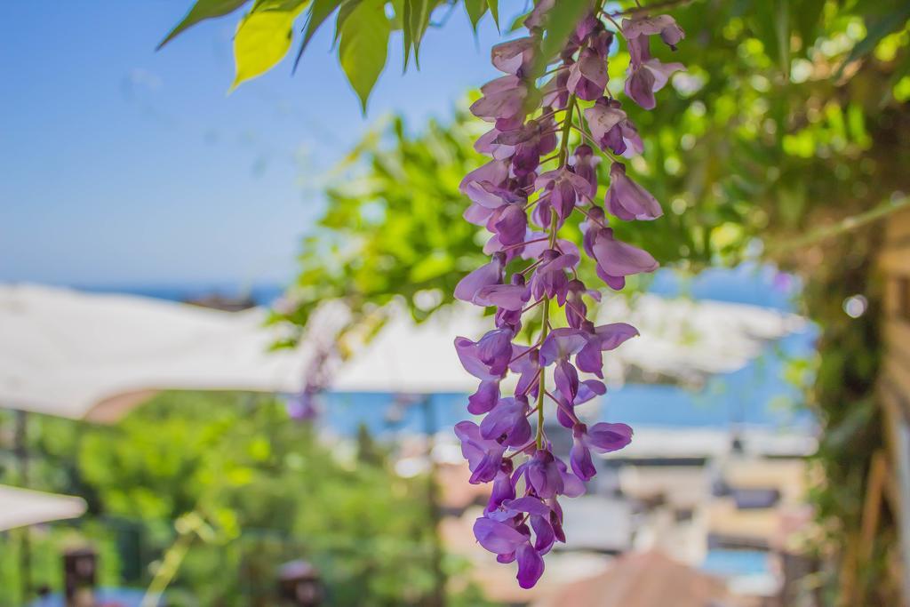 Hotel Boutique 17 Valparaíso Εξωτερικό φωτογραφία